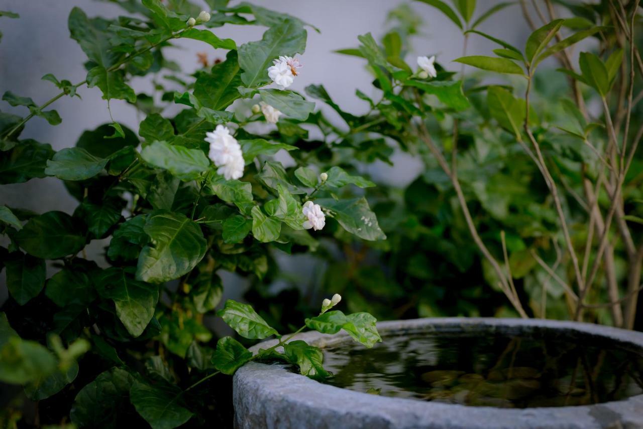 The Purple Hue Homestay ภายนอก รูปภาพ